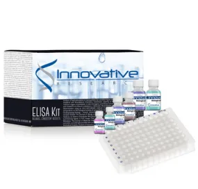 Human Syncoilin ELISA Kit