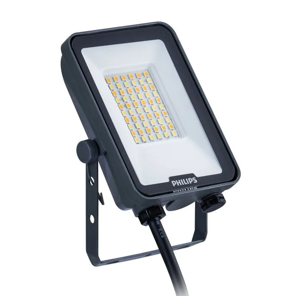 Philips Tri Colour LED Flood Light