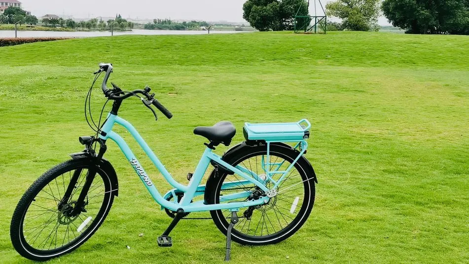 Vie 27.5in 7Sp 350W Ultra-Comfy Women's Step Through E-Bike by Young Electric